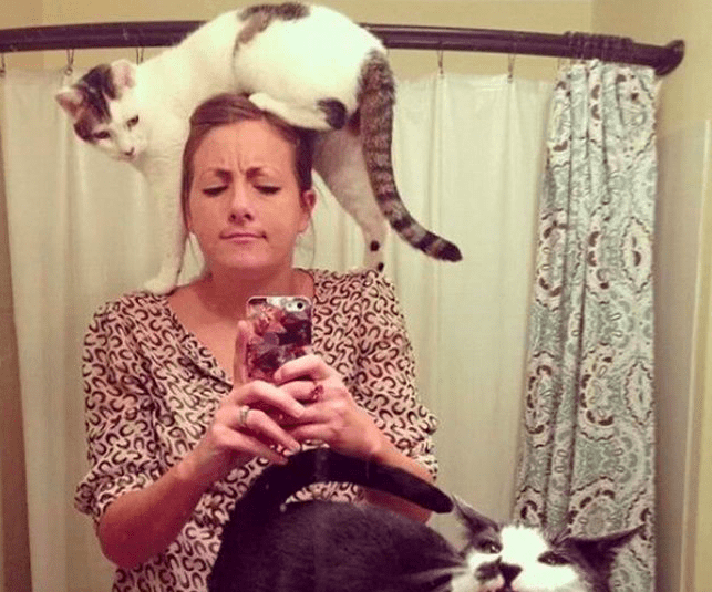 cat